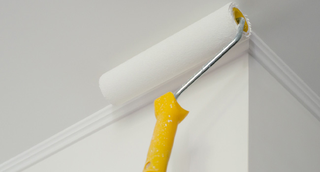 5 Things You Should Know About Interior Painting
